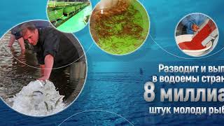 Главное бассейновое управление по рыболовству и сохранению