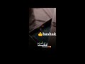 Islamic Status FA Inna MA Al USRI Yusra Bashak