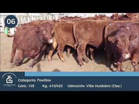Lote Nv Consumo - Villa Huidobro Córdoba