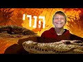 Deadly Mission Madagascar Intro Hebrew