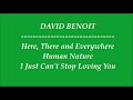 [HD] DAVID BENOIT ~ HERE, THERE AND EVERYWHERE / HUMAN NATURE / I JUST CAN'T STOP LOVING YOU