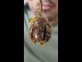 How To Make Baingan Gosht