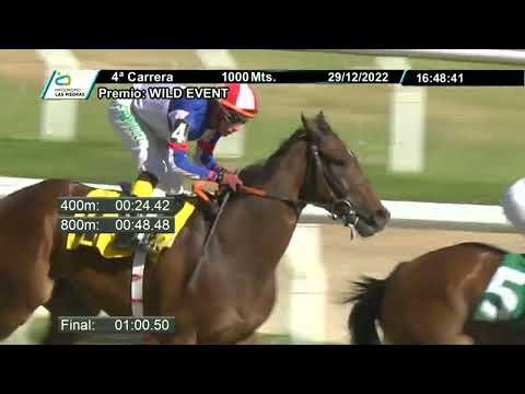 221229 c04 - LOGARITMICA - HIPODROMO LAS PIEDRAS