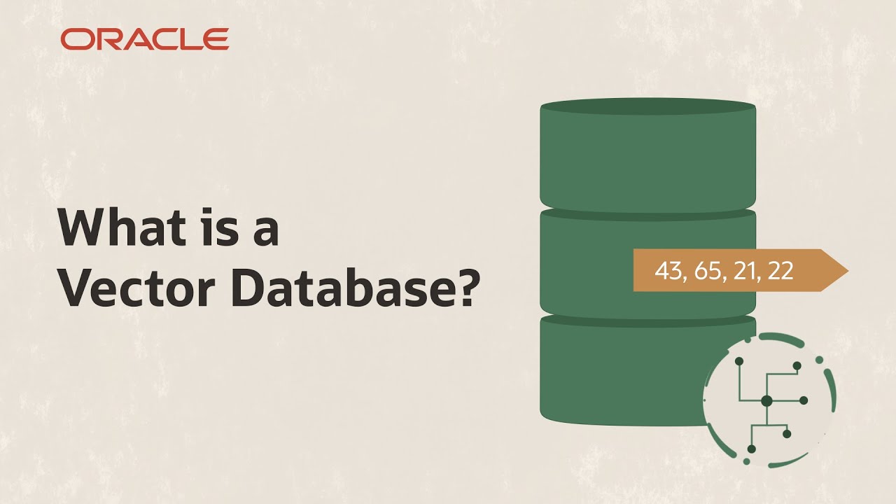 What Is a Vector Database and How Can It Help Meet Business Needs