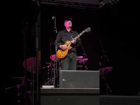 Vlatko Stefanovski  - Live