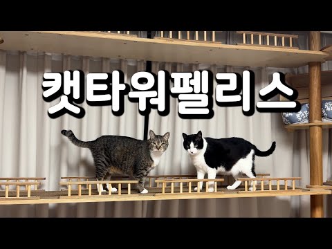 춘봉첨지 청약 당첨됐어요