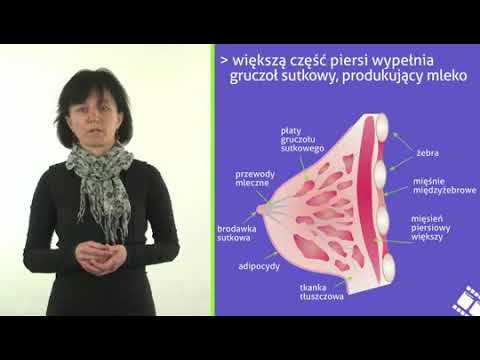 Dojrzewanie biologiczne u dziewcząt