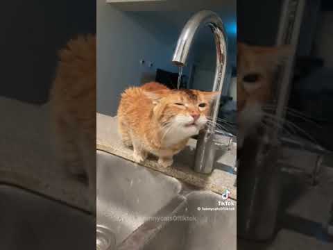 Motaz mazan 93 (part 1)