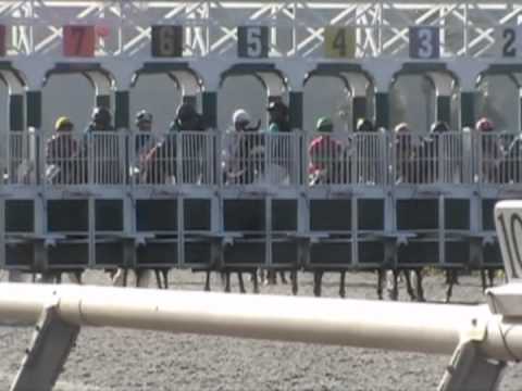 Star Billing - Clement L Hirsch -08-04-2012