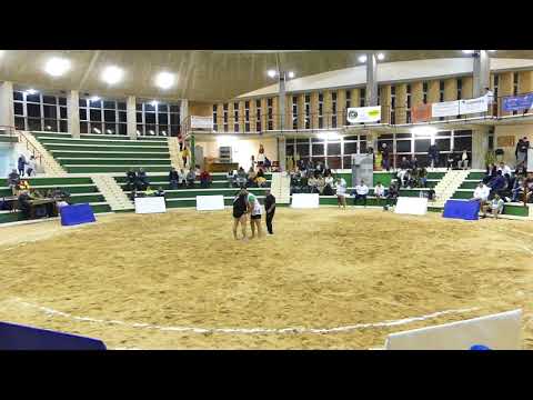 Lucha semior 27/1/2018: C.D.Atamanse=9 C.L.Benchomo=12 Parte 2/4