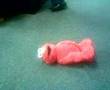 Elmo
