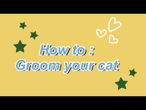QKB2111 | TRIVIA | How to groom a cat