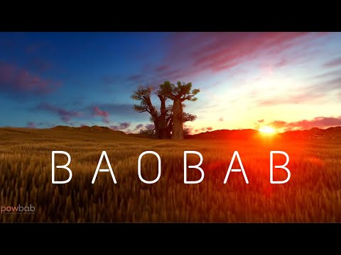 The Majestic Baobab Tree | Learn Facts about Tree and Baobab Fruit