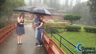 Inselrundfahrt Oahu Hawaii Video - Hawaii Urlaub, Vacation Hawaii, Best tour Oahu