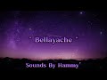 Bellayache SlowednReverb