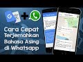 Tips - Cara Mudah dan Cepat Terjemahkan Bahasa Asing di Aplikasi Whatsapp Tips - Cara Mudah dan Cepat Terjemahkan Bahasa Asing di Aplikasi Whatsapp