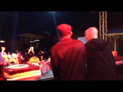 Vibronics @ Electric Castle