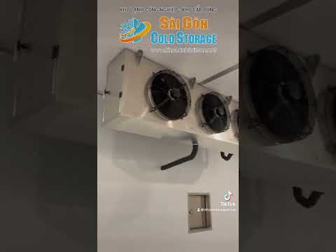 Video Thi Công Nhà Máy Sản Xuất Bánh Xuất Khẩu Nhật Bản Tại Hóc Môn