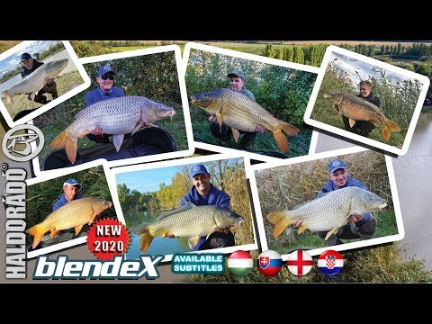 Döme Gábor - Csapatmunka