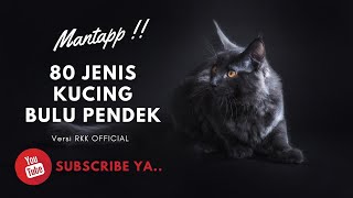 Download lagu 80 Jenis Kucing BULU PENDEK mp3