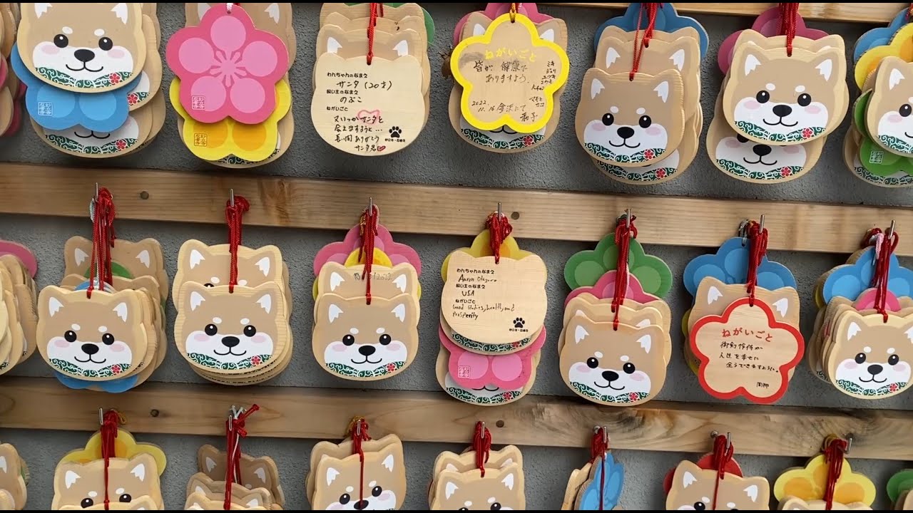 Experience the allure of Myoryuji, also known as the Ninja Temple, as a curious tourist.