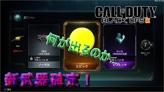 【BO3】　新武器確定！狙いの武器が....