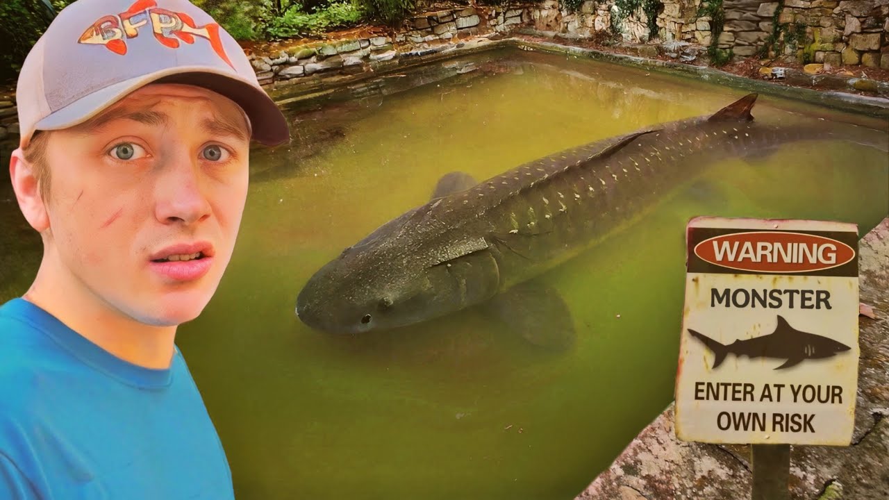 I Found an Abandoned Pool FILLED with Monster Fish!