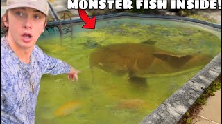 I Found an Abandoned Pool FILLED with Monster Fish!