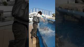パチンコパチスロ旅打ちなうのワイ、ペンギンさんに餌をあげる