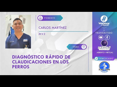 Diagnóstico Rápido de Claudicaciones en los Perros - MVZ Carlos Martínez