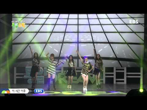 141017 4Minute - Whatcha Doin' Today & What's Your Name? @EBS Reunification Dream Concert