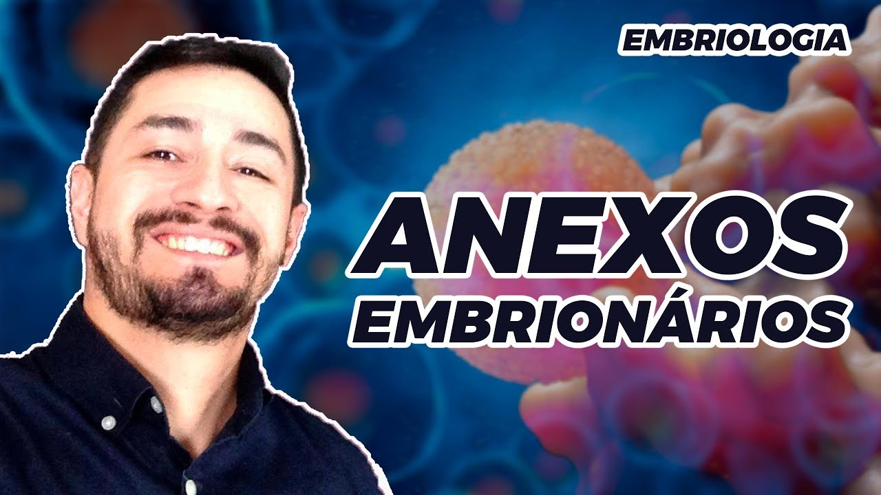 EMBRIOLOGIA - ANEXO EMBRIONARIO