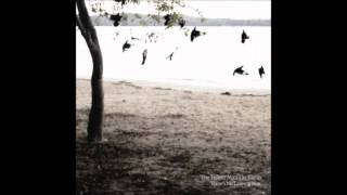 The Tallest Man on Earth - Bright Lanterns