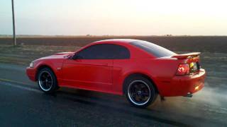 preview picture of video 'Hector Mustang Burnout'