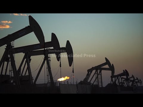 UN says world must jointly tackle issues of climate change, pollution, biodiversity and land loss