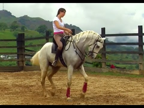 Women's Stories in the World of Horses Part 2 - TvAgro by Juan Gonzalo Angel