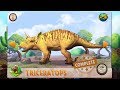 DINO DAN DINO DIGSITE TRICERATOPS North America