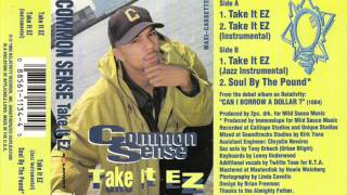 Common Sense - Take It Ez (Instrumental) (1992)