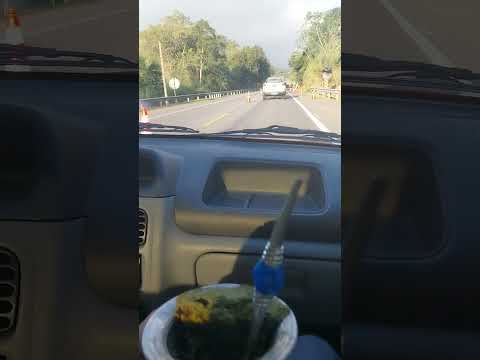 viajando pra Itariri SP e tomando chimarrão🧉🚘🛣 #chimarrão #saopaulo #sãopaulo #riograndedosul