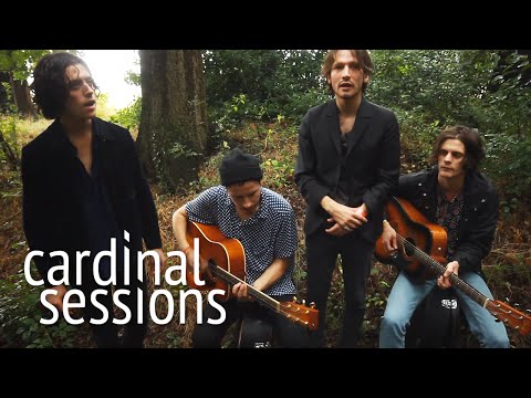 Natas Loves You - Skip Stones - CARDINAL SESSIONS (Appletree Garden Special)