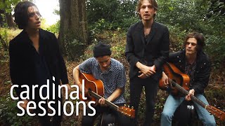 Natas Loves You - Skip Stones - CARDINAL SESSIONS (Appletree Garden Special)