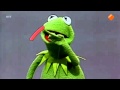 Sesamstraat Kermit Tekent Een 2