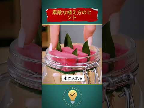 キョウチクトウ用のマルチング 葉 ストローボール 粘土