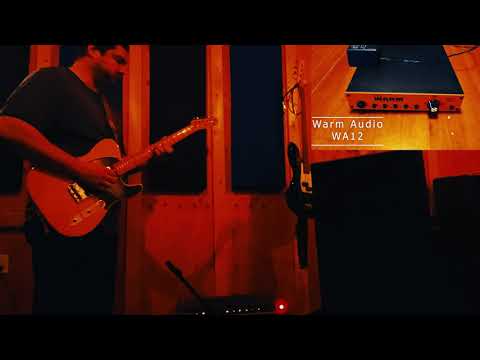 Black Lion Audio B12A mk2 vs Warm Audio WA12