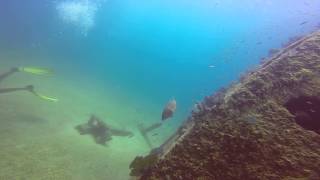 preview picture of video 'Diving wreck (tuna boat) Cabo Pulmo Beach Resort (El Vencedor Dive Site) Bull Shark drive by!'