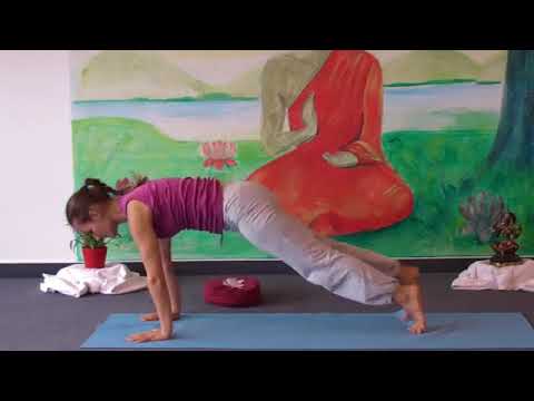 Intermediate Yoga Vidya Class 20 Minutes omg