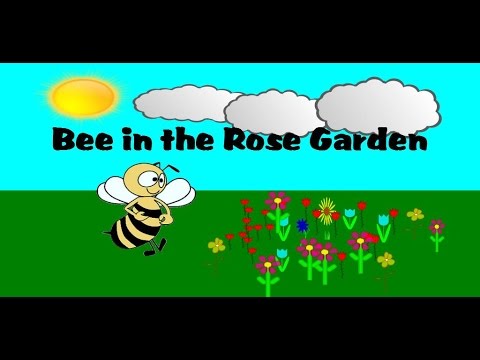 Bee in the Rose Garden Video