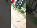 Wafanya Mapenzi Barabara I
