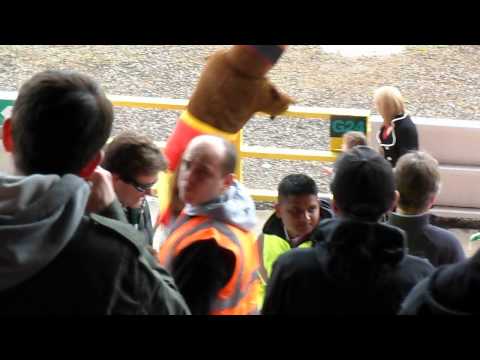 Swindon Town vs Plymouth Argyle - Swindon mascot 'Rockin' Robbin'