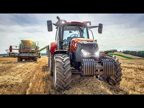 Koszenie Pszenicy 2020 | Claas Dominator 86 | Case Maxxum 115 | Zetor 6340